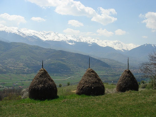 Haiku: Straw Stockpile
