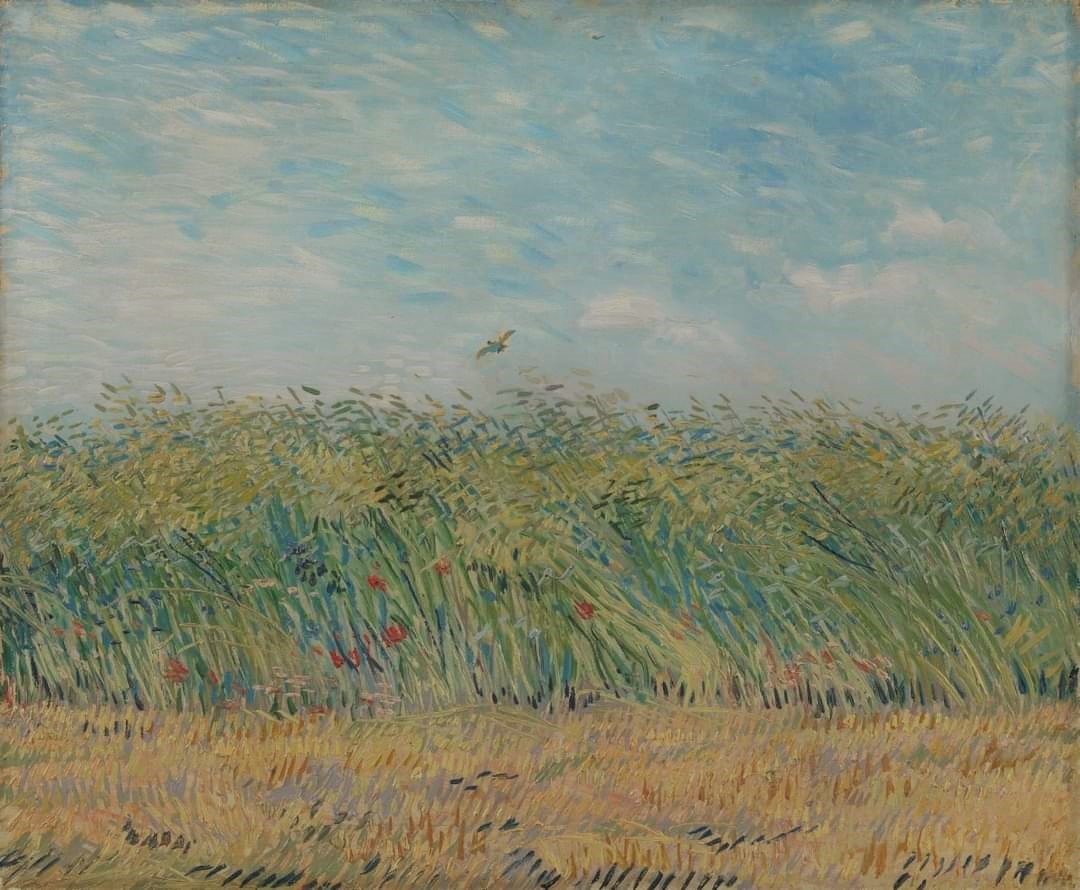 Vincent Van Gogh 65 -  Kay Stunned