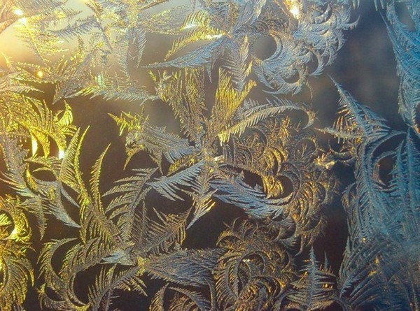 Through The Icy Tracery...