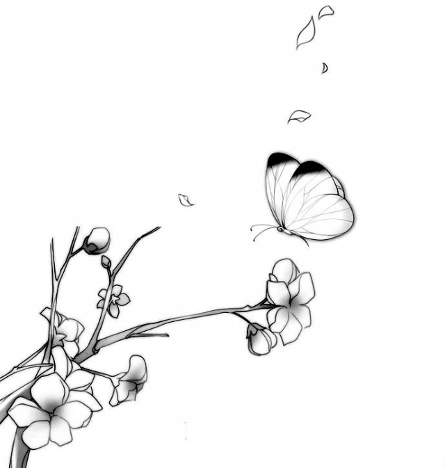 The Nature Of Things
