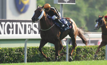 A-090. नए रास्ते की तलाश