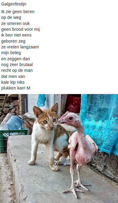 Galgenfestijn