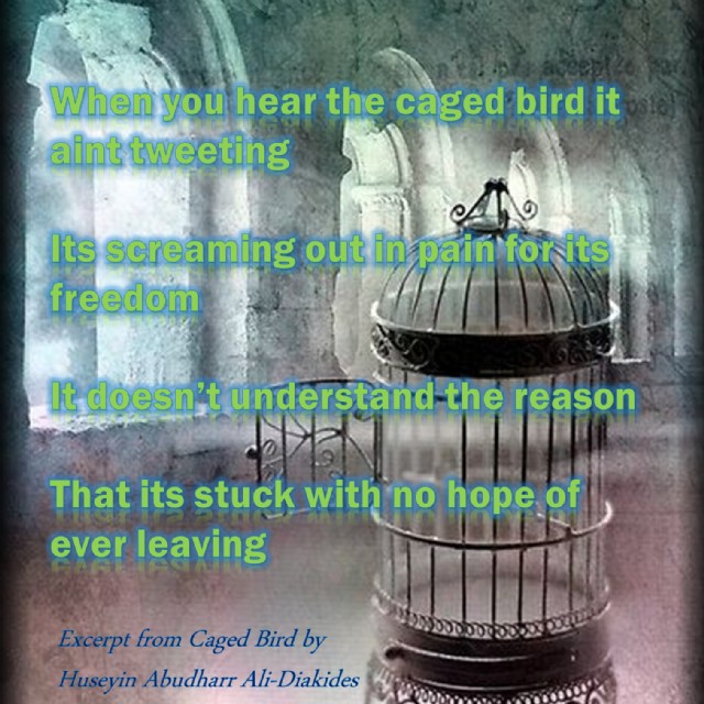 Caged Bird