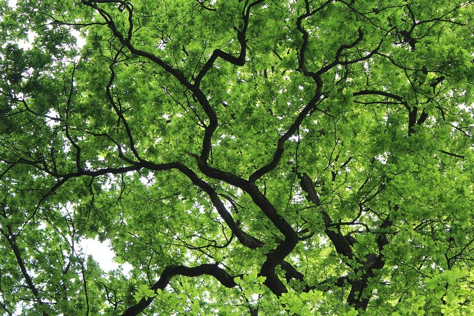 Early May Musings: (May 7th,2021)