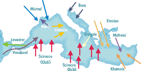 My Desert Island Book