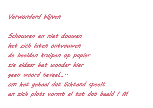Verwonderd Blijven