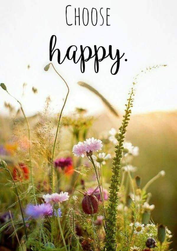 Disappearing Act I I I