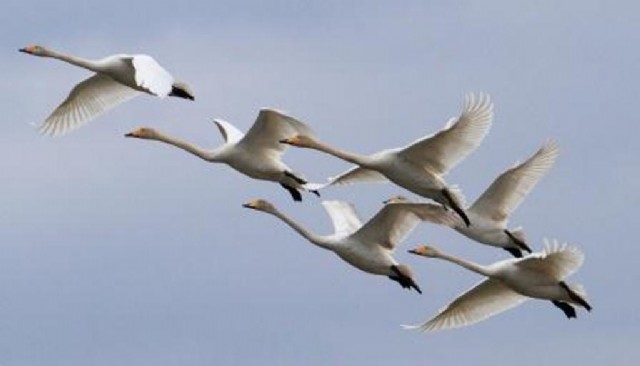 Made Me Fly Like A Birdinthe Sky