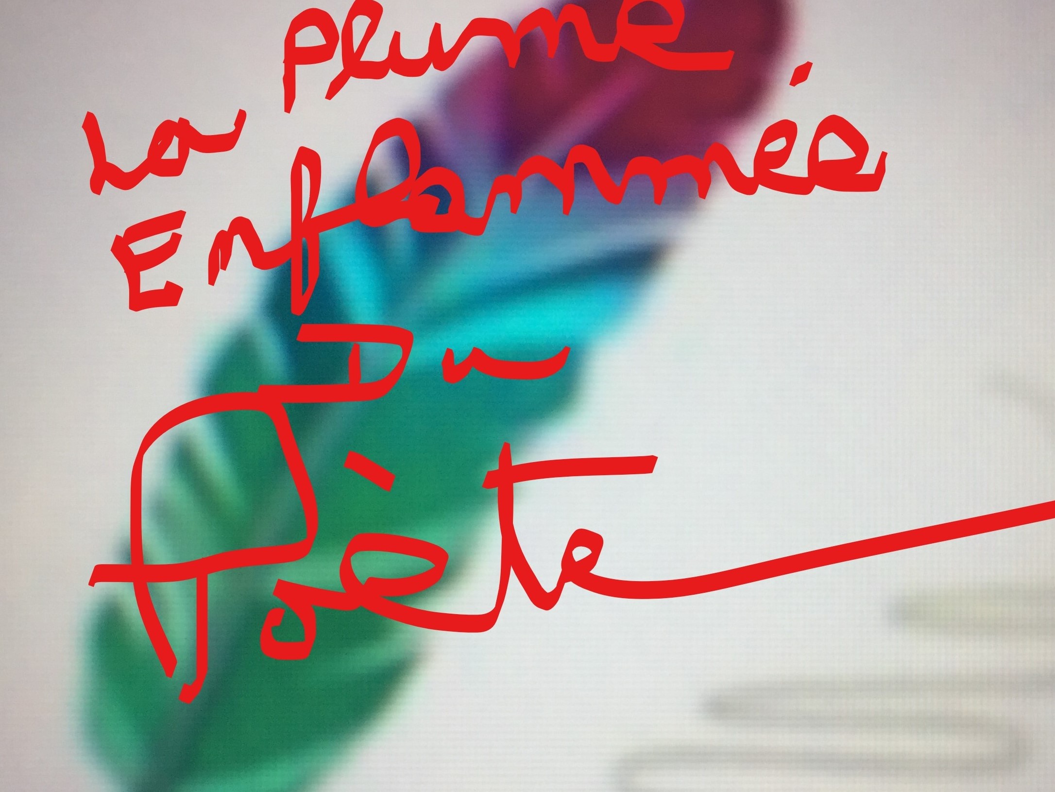 Sin Amor, Sine Amore