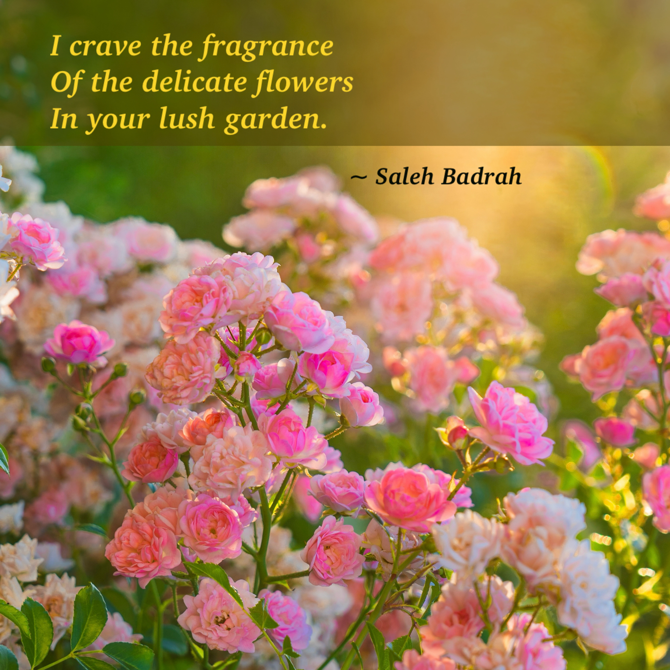 I Crave The Fragrance