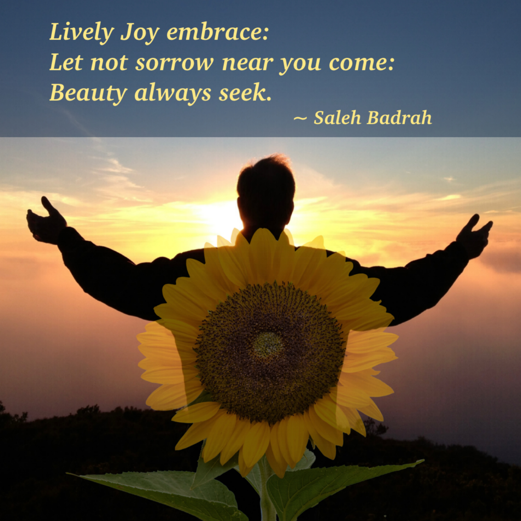 Beauty Always Seek