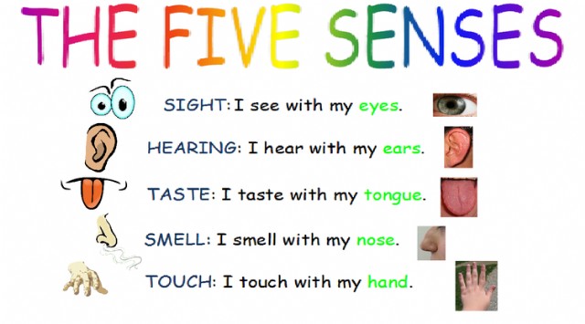 The Thought Of Satisfying The Five Senses!