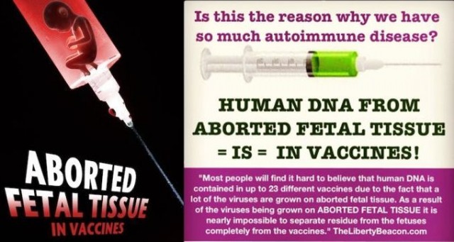 Human Dna In Vaccines