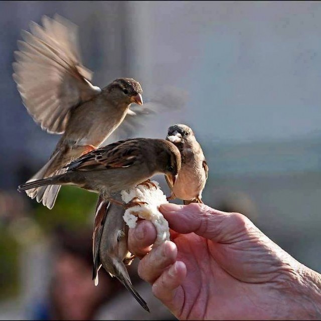 Be Empathetic To Be A Human!