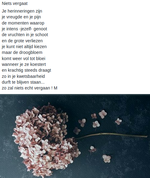 Niets Vergaat