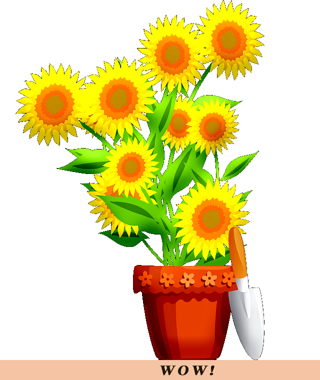 The Girl And The Window