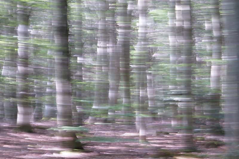 Magical, Summer Winds