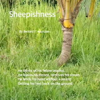 Sheepishness