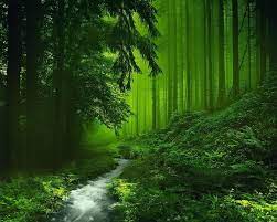 Blessings Of Nature