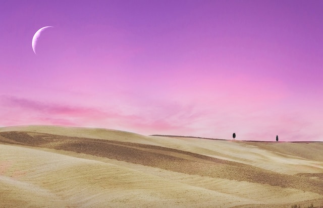 Desert Moon