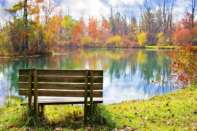 I Fell For Fall