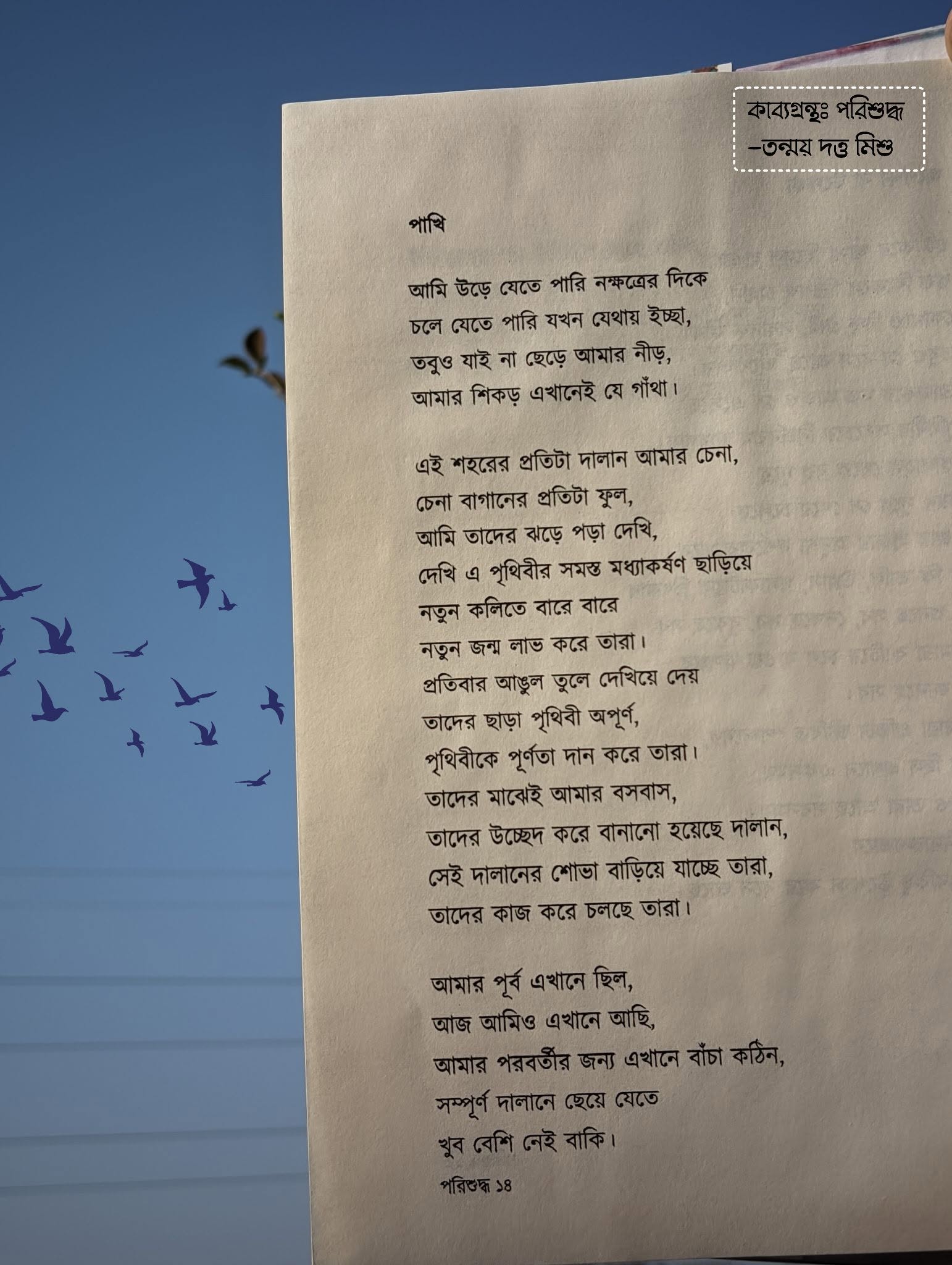 পাখি