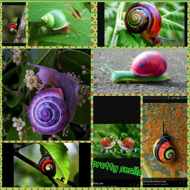 Ode To A Snail