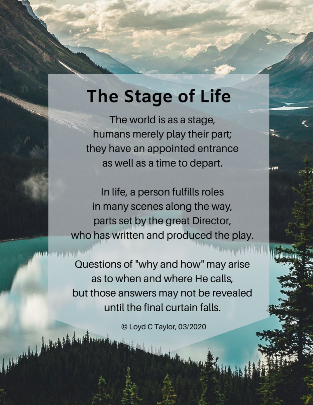 The Stage Of Life