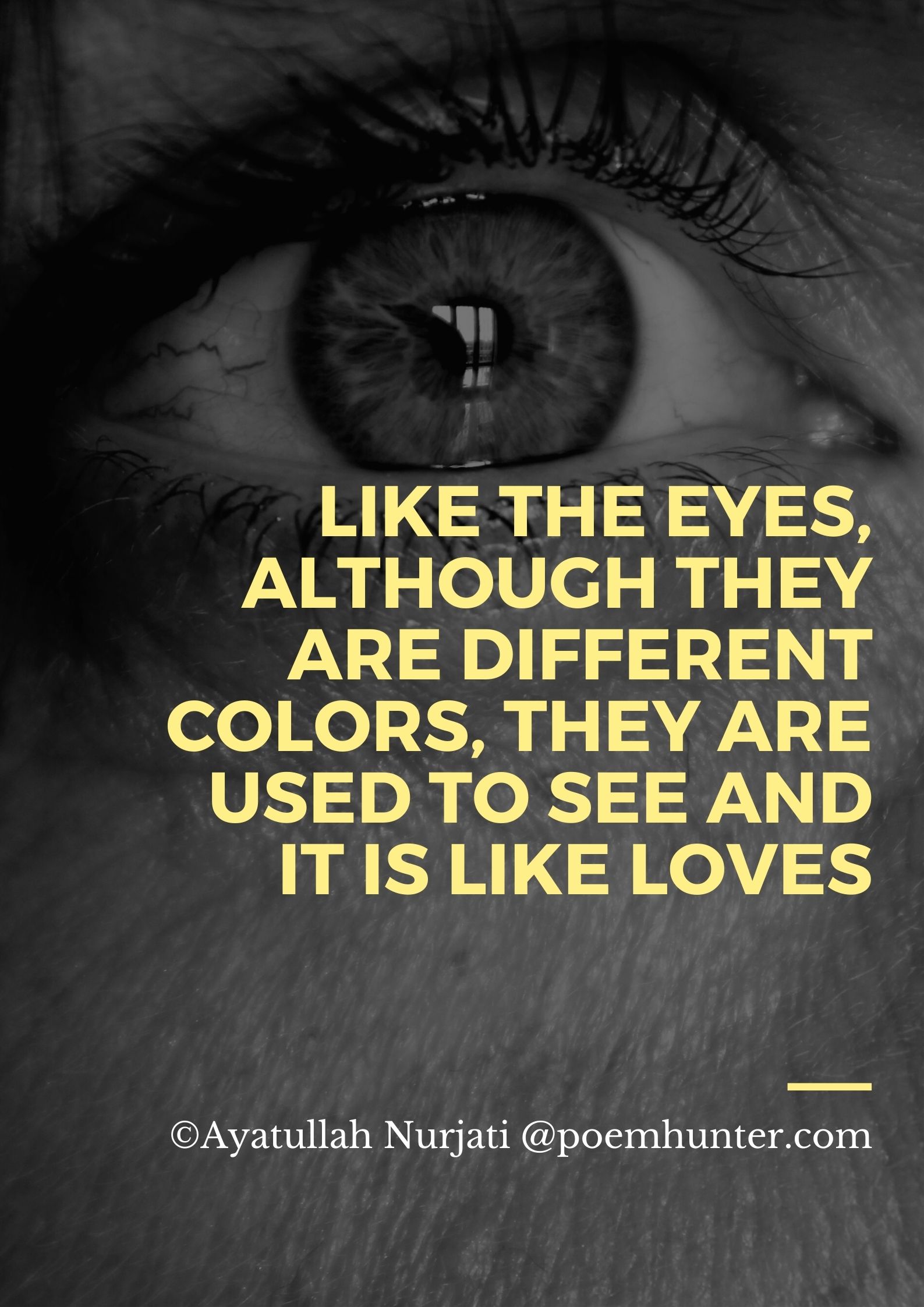 Eyes Of Sonnets