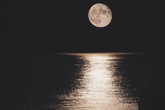 Vanilla Moon