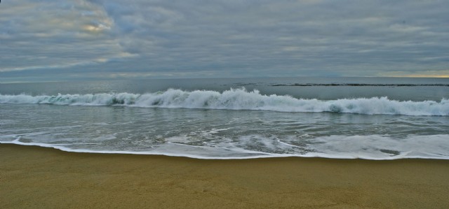 Back To The Shore / I'll Come Back