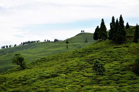 Darjeeling