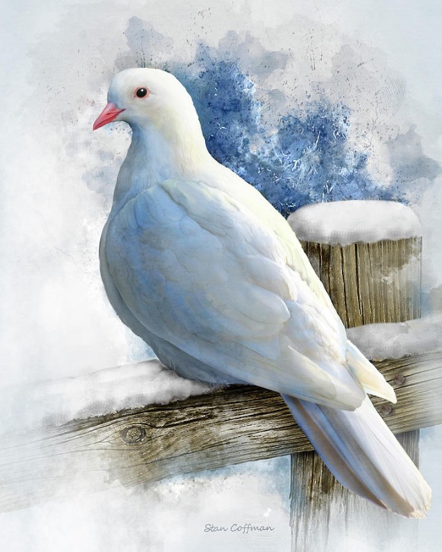 The Frozen Dove