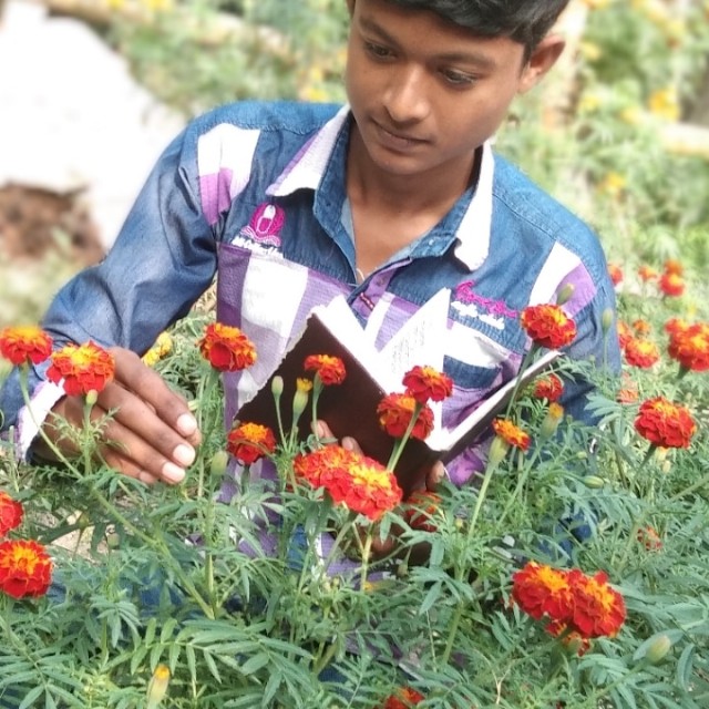 শিশির বিন্দু