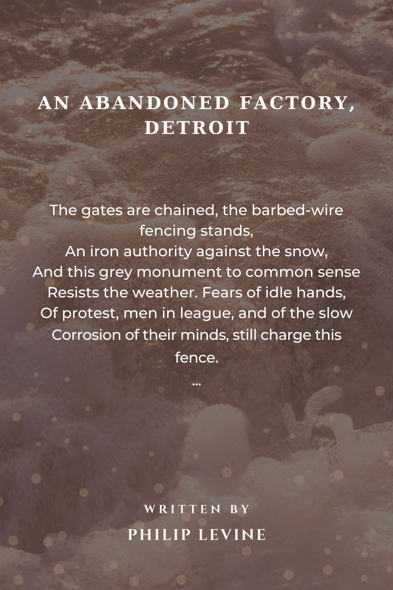 An Abandoned Factory, Detroit