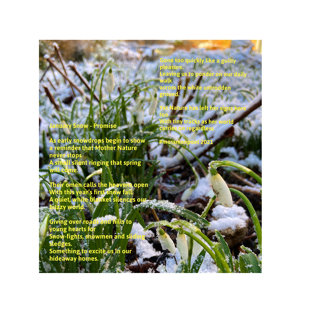 January Snow - Promise