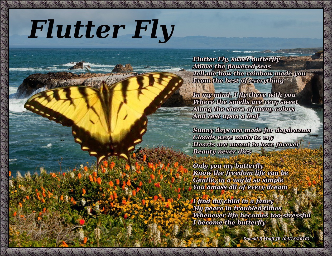 Flutter Fly