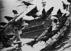 Crows In Snow (A Dirge)