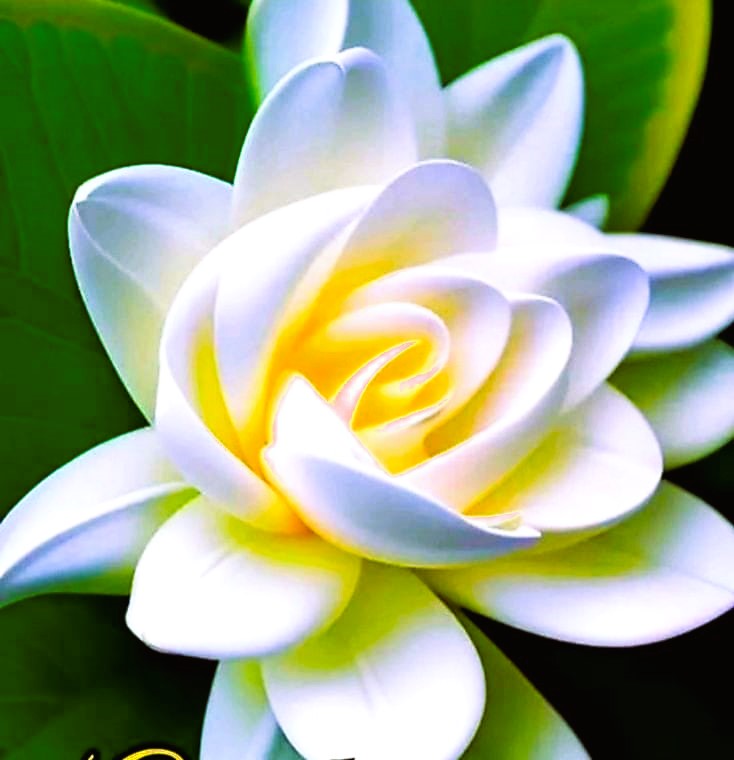 Haiku 14 - Truth & Love