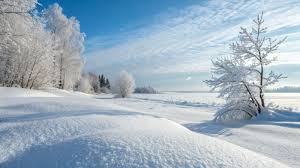 Swath Of Pristine Tractless Snow White Landscape...