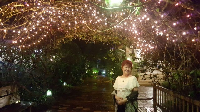 Ode To Lights On Trees