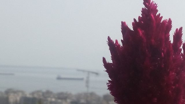 ‘πουλόβερ Κόκκινο'