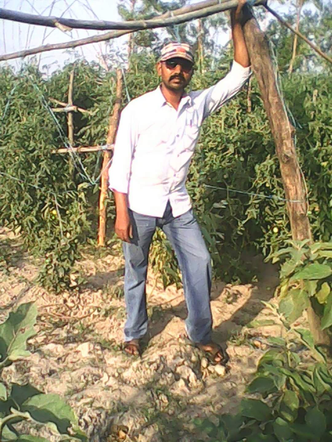 'अन्नदाता ' किसान Gaya Prasad Anand