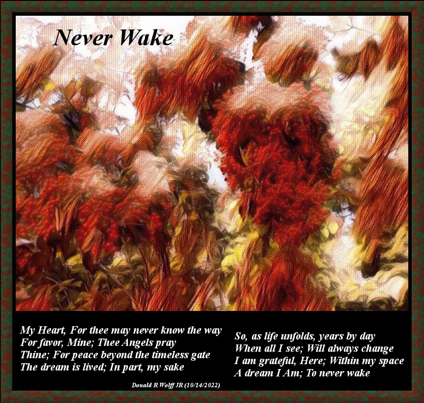 Never Wake
