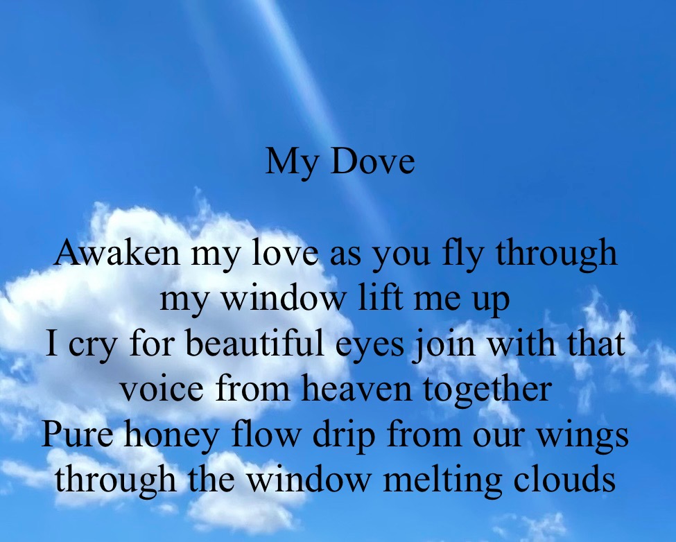 My Dove