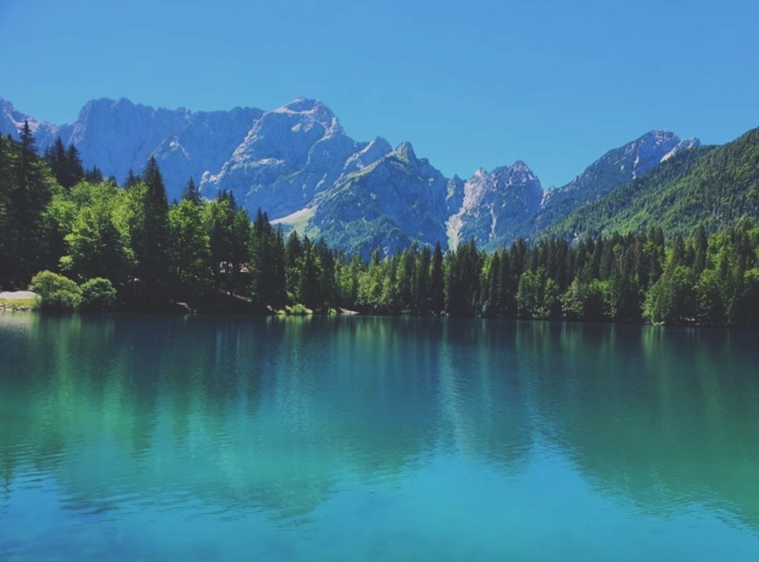 The Silence Of The Lake