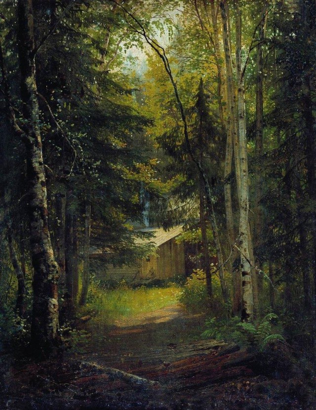 Hut In The Forest