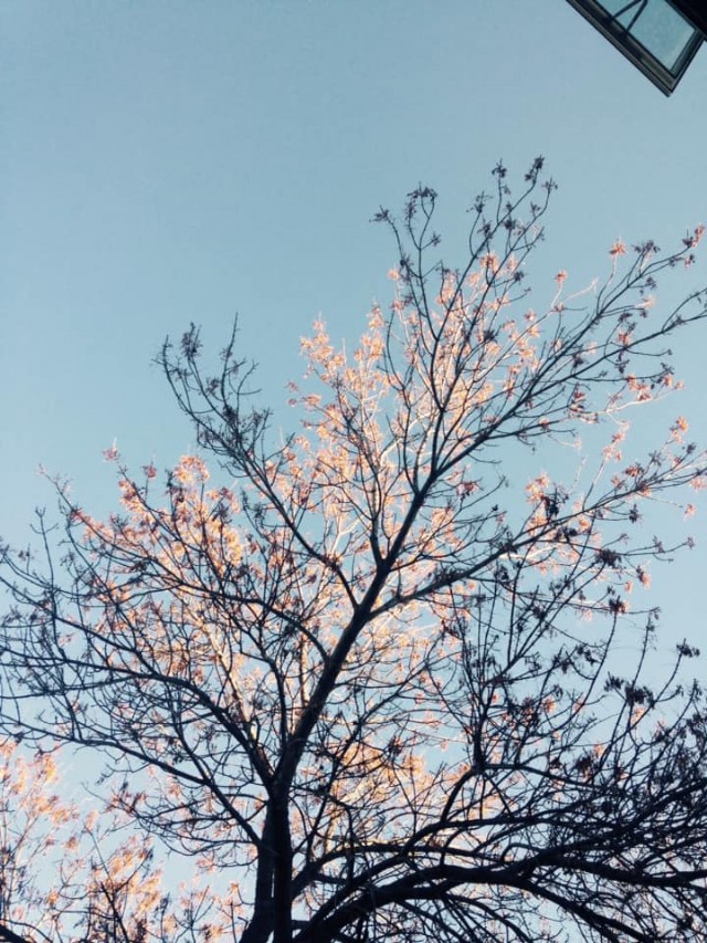 Chemistry Means Penetrating