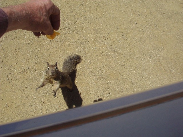 One In A Million Shows Up For You,