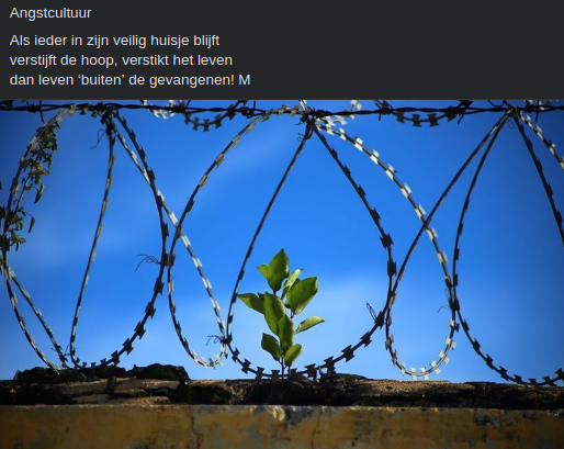 Angstcultuur